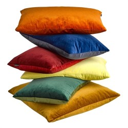 Coussins en velours