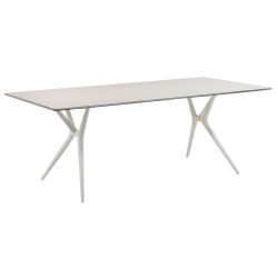 Spoon Table / largeur 140 cm