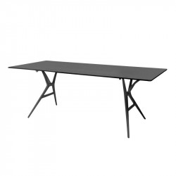 Spoon Table / largeur 200 cm